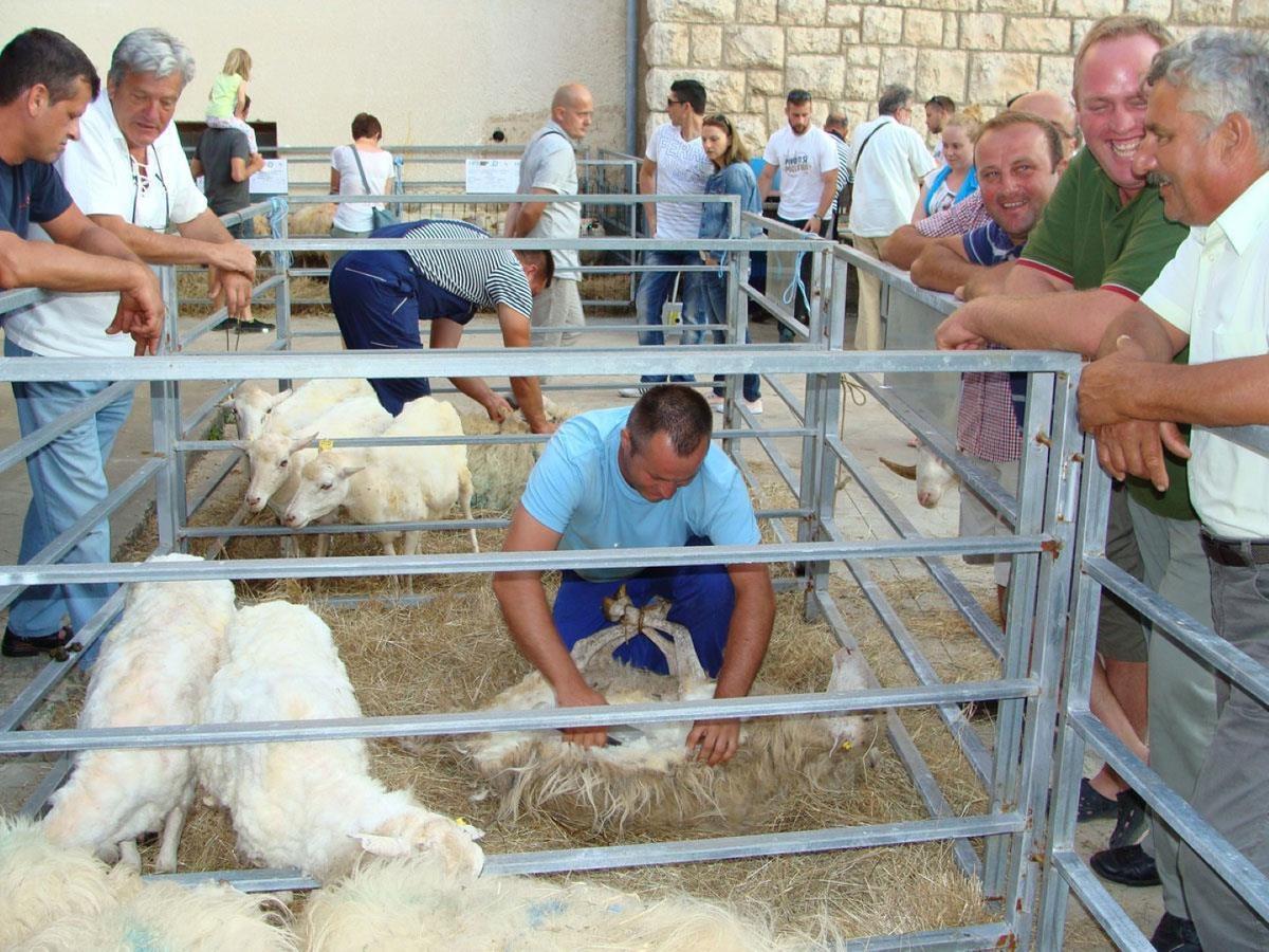 Adriatic Romance Baška Εξωτερικό φωτογραφία